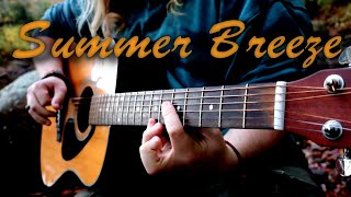 Summer Breeze Cover Seals and Crofts [upl. by Warfore]