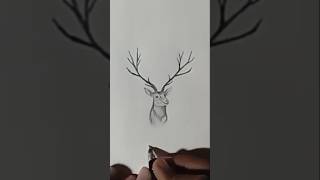 REINDEER DRAWINGanshartsansharyanartsdrawingreindeerpencildrawing [upl. by Yks]