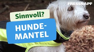 Der Hundemantel – Tipps für den Winter [upl. by Einniw35]