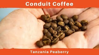 Tanzania Peaberry  Conduit Coffee [upl. by Josias]