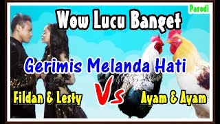 Ayam Duet Menyanyi Gerimis Melanda Hati  Wow Mereka Bagaikan Fildan Feat Lesty [upl. by Kerman]