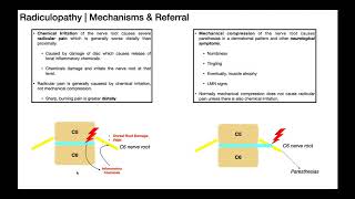 Radicular Pain Versus Radiculopathies EXPLAINED [upl. by Sualk932]