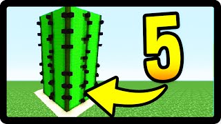 5 COISAS QUE VOCÊ NÃO SABIA SOBRE O CACTO DO MINECRAFT [upl. by Atrice]