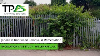 Japanese Knotweed Removal amp Remediation  Willenhall UK [upl. by Neehsuan890]