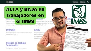 Como dar de alta empleado en el IMSS [upl. by Valentino746]