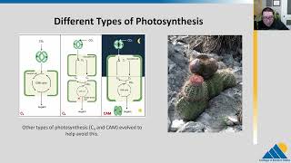 BIOL201 Ch83  Light Independent Reactions of Photosynthesis  OpenStax Biology [upl. by Acinorrev665]