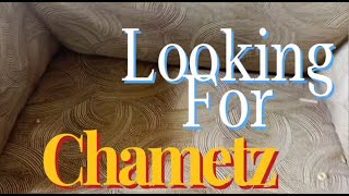 Looking For Chametz A Passover Parody [upl. by Brandise]