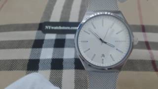 Mens Skagen Sundby Stainless Steel Mesh Watch SKW6262 [upl. by Janeta127]