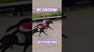 My Chutzpah winning race 7 back to back wins for Edwin González GulfstreamPark SunshineMeet [upl. by Maleki483]