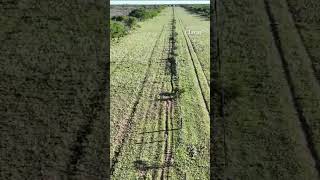 Con un dron encontraron a una niña de 3 años que estuvo 5 horas perdida en La Pampa [upl. by Emawk]