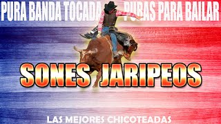 Los Mejores Sones Jaripeos con Banda Tocada Mix de Sones 2024 Puras Para Bailar [upl. by Elsinore412]