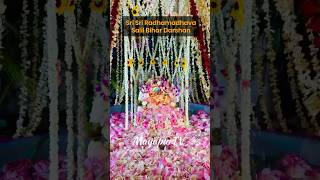 Sri Sri Radha Madhava Salil Bihar Spiritual Bliss [upl. by Premer]