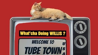 Whatcha Doing Willis is live WHAT HAS HAPPENED WILLIS [upl. by Ahseinar]