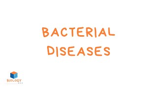 GCSE Biology  Infection amp Response  6 Bacterial Diseases [upl. by Etterrag]