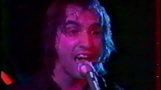 Paul Collins Beat 10 Apr 1980 french TV A2 Chorus live [upl. by Llohcin]