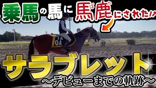 【馬主】乗馬の馬にすら馬鹿にされて悔しい思いをしたサラブレッドその名もアヤサンダワキング、、愛馬のデビューまでの軌跡を地方馬主のオジサンが追いかけ続けました。。 [upl. by Artep]