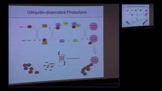 Scientist Stories Craig Crews  CoFounder of Arvinas a pioneer in targeted protein degradation [upl. by Losse]