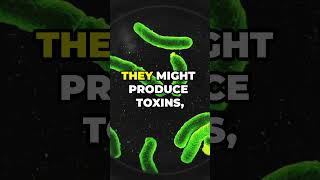 Bacterial ChitChat Quorum Sensing Explained facts [upl. by Graehl725]