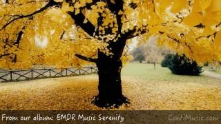 EMDR Therapy Session  Dissociation PTSD Therapy  Music For The Here And Now to Relax [upl. by Lyssa]