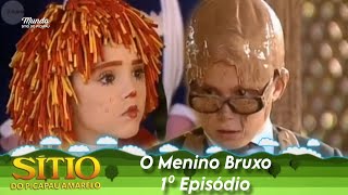 Sítio do Picapau Amarelo  O Menino Bruxo • 1° Episódio 2002  Completo HD [upl. by Landers]