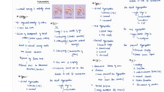 HYPOSPADIAS NOTES ONE PAGE NOTES  URETHRA  SURGERY  4TH PROFF  MBBS [upl. by Orfurd]