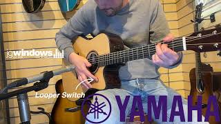 Yamaha TAG3C TransAcoustic  Looper Demo [upl. by Perni]