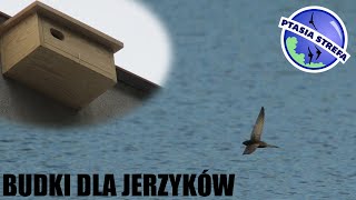 Budki dla jerzyków [upl. by Violeta]