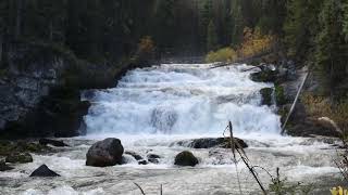 Lower Kananaskis Falls [upl. by Jar]