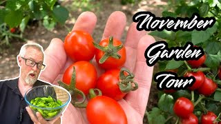 Whats THRIVING in My November Edible Garden Tour 2024 [upl. by Manwell]