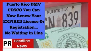 Puerto Rico DMV CESCO How Can You Renew Your EXPIRED License AndOr Marbete [upl. by Henderson30]