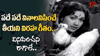 Chaduvukunna Ammayilu  Vinipinchani Ragale Song  Savitri Super hit Love Song  Old Telugu Songs [upl. by Cheshire]