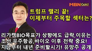 이효근의 텐텐텐 1113트럼프랠리 끝 이제부터 주목할 섹터는 리가켐 목표가 상향에도 급락 이유는 조선바이오우주 이후전략중요 지금부터 내년을 준비할 유망주 공개 [upl. by Meil]