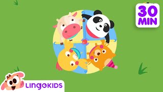 Clean Up Songs 🧹🧼  More Songs for Kids  Lingokids [upl. by Bedad]