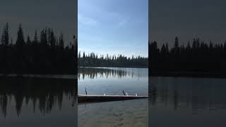 Spring Lake in Grand Teton 🥹 springlake spring lake grandtetons mountains beatiful shorts [upl. by Ylenaj]