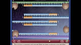 Polymerase Chain Reactionmp4 [upl. by Corbet714]