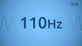 110 Hz Test Tone [upl. by Hyland]