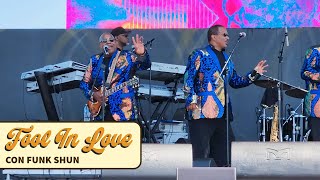 Con Funk Shun  Loves Train  Fool In Love Festival 2024 [upl. by Yreme]