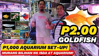 CARTIMAR PETSHOP BILIHAN MURANG ISDA AT AQUARIUM GOLDFISH 2 PESOS ONLY P1000 AQUARIUM SETUP [upl. by Kcirdnekel]