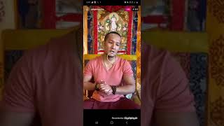 HE palga rinpoche live teaching on instagram [upl. by Echo]