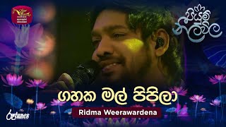 Gahaka Mal Pipila  ගහක මල් පිපිලා  Ridma Weerawardena  Piyum Neela Vila  Roo Tunes [upl. by Erialb]