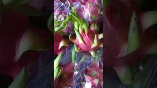 Dragon Fruit 🔥shorts viralvideo [upl. by Boyd]