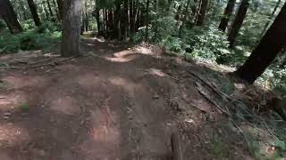 UCSC trails mtb santacruzbicycles freeridemtb biking [upl. by Ellehs534]