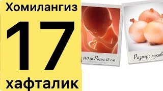 БОЛАЖОНИНГИЗ 17 ХАФТАЛИК БУЛДИ ДАДАЖОНИСИ БИЛАН ТАНИШТИРИНГ [upl. by Adore392]