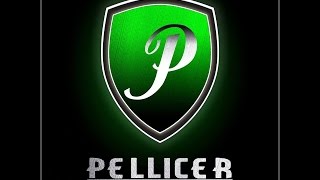 PELLICER MARCHING BAND 2015 [upl. by Niak]