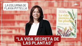 La vida secreta de la plantes la recomendación literaria de Flavia Pittella [upl. by Kumagai]