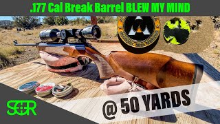 Feinwerkbau FWB Sport 177 CAL  REVIEW  50 YARD Accuracy this is an 😱 Break Barrel [upl. by Iegres]