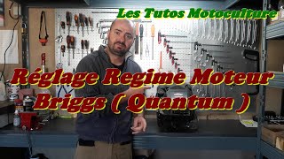 Réglage régime moteur  Briggs  Quantum [upl. by Nellie]