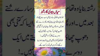 میاں بیوی کا رشتہ flute music cover ringtone recorder quotes ncsringtone musiclove poetry [upl. by Barker]