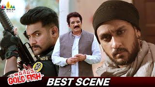 Aadi Saikumar Plans to Catch Terrorist  Operation Gold Fish Movie  Telugu Latest Scenes [upl. by Nollek798]