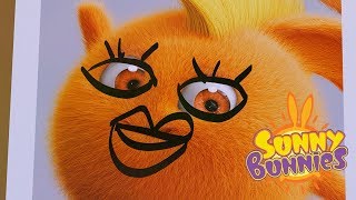 Sunny Bunnies  PICTURE DAY  Cartoons For Children  Funny Cartoons For Children [upl. by Poree446]